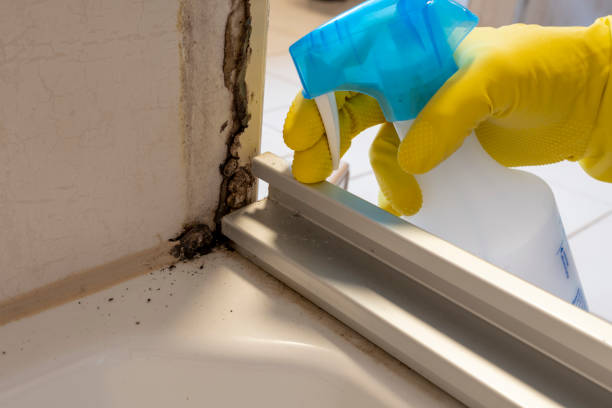 Best Forensic Mold Investigation  in Gallitzin, PA